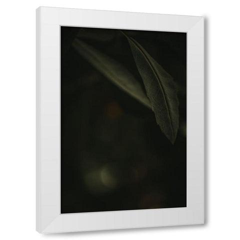 Botanical Series - Leaves 5/5 White Modern Wood Framed Art Print by Elijas, Eva