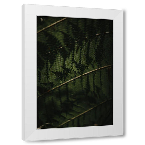 Botanical Series - Fern 2/2 White Modern Wood Framed Art Print by Elijas, Eva