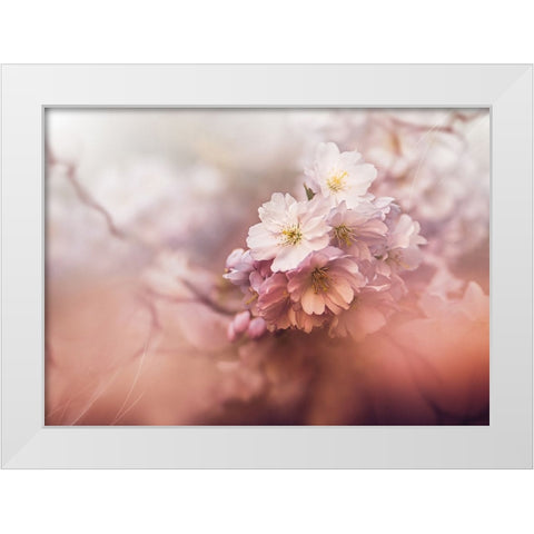 Sakura White Modern Wood Framed Art Print by Zvinakeviciute, Kristina