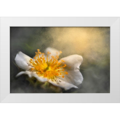 Dreaming White Modern Wood Framed Art Print by Kiral, Cicek