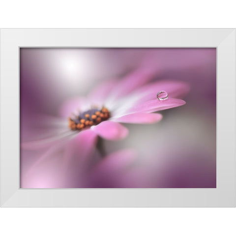 Echoes Of Hope...II White Modern Wood Framed Art Print by Nan, Juliana