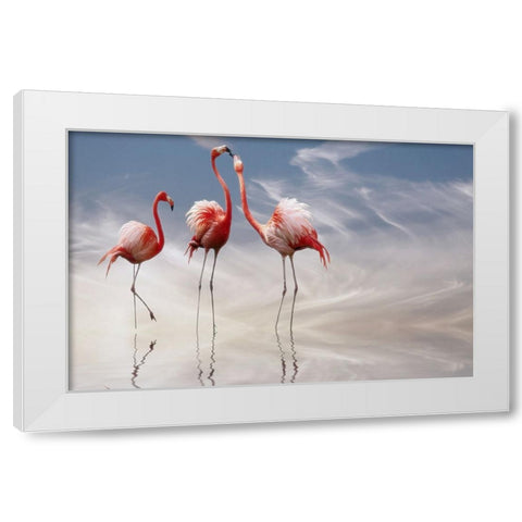 ... White Modern Wood Framed Art Print by Cseresnjes, Anna