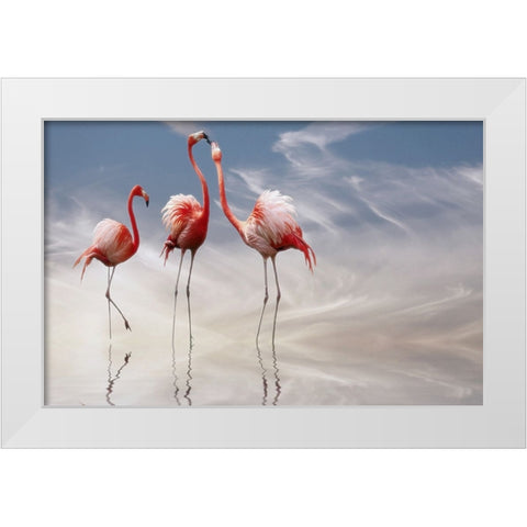 ... White Modern Wood Framed Art Print by Cseresnjes, Anna