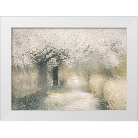 Cherry blossom White Modern Wood Framed Art Print by Talen, Nel