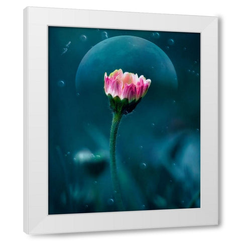 A flowers dream White Modern Wood Framed Art Print by Stefanel, Nicolae