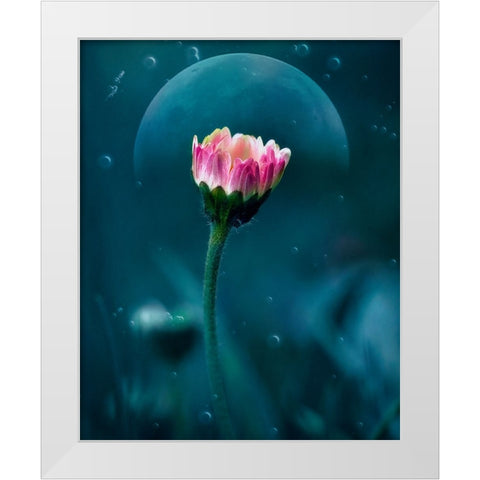 A flowers dream White Modern Wood Framed Art Print by Stefanel, Nicolae