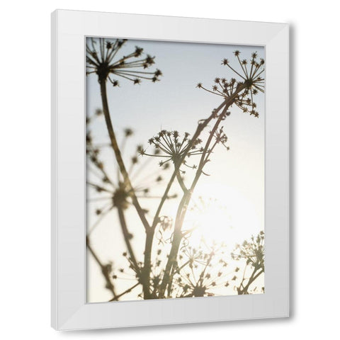 Beach flowers_001 White Modern Wood Framed Art Print by 1x Studio III