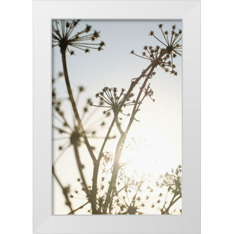 Beach flowers_001 White Modern Wood Framed Art Print by 1x Studio III