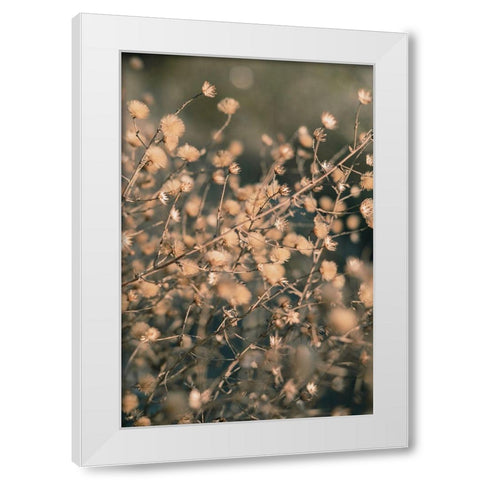 Beach flowers_003 White Modern Wood Framed Art Print by 1x Studio III