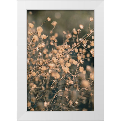 Beach flowers_003 White Modern Wood Framed Art Print by 1x Studio III