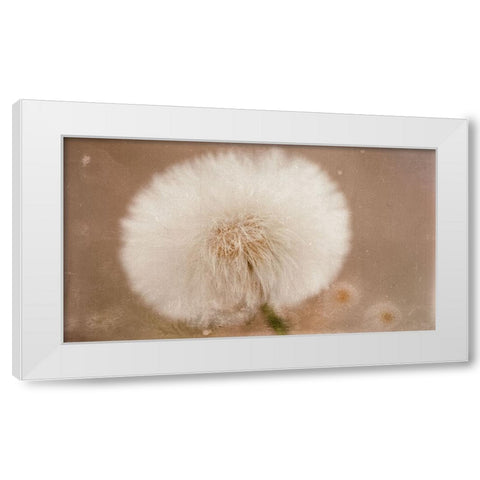 Softie White Modern Wood Framed Art Print by Stas, Marie-Anne