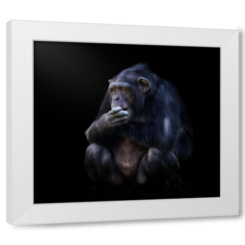 chimpanzee White Modern Wood Framed Art Print by Garcia, Helena