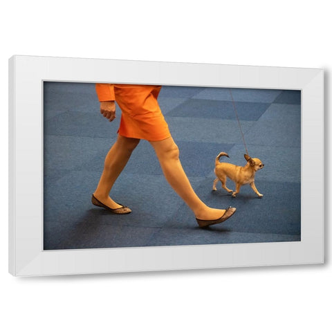 Matching Colours White Modern Wood Framed Art Print by Joosten, Lus