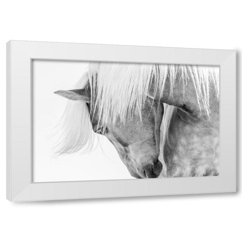 Halflinger Portrait White Modern Wood Framed Art Print by Kimberly
