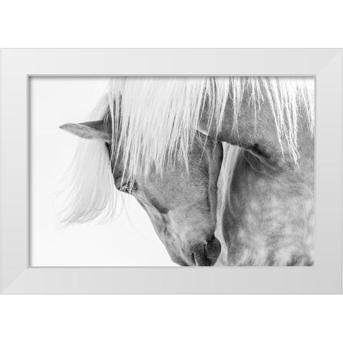 Halflinger Portrait White Modern Wood Framed Art Print by Kimberly