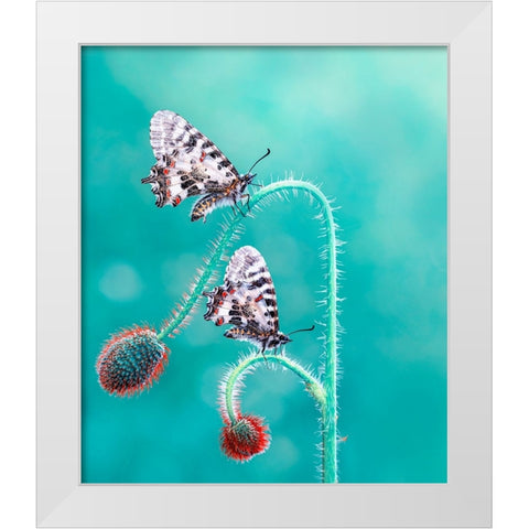 Friends White Modern Wood Framed Art Print by ozturk, Mustafa