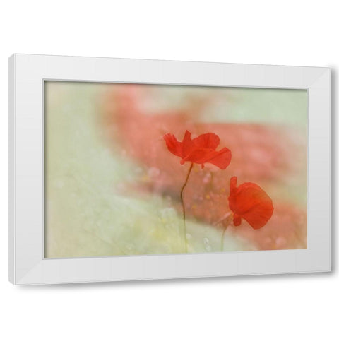 Poppy 2 White Modern Wood Framed Art Print by Stas, Marie-Anne