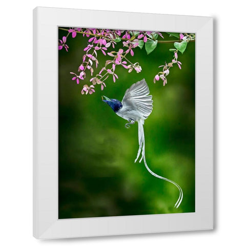 Finally Got It White Modern Wood Framed Art Print by Muliani Hartojo, Angela