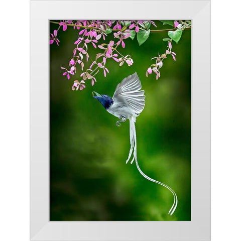 Finally Got It White Modern Wood Framed Art Print by Muliani Hartojo, Angela