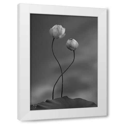 Lotus White Modern Wood Framed Art Print by Wei, Taiga