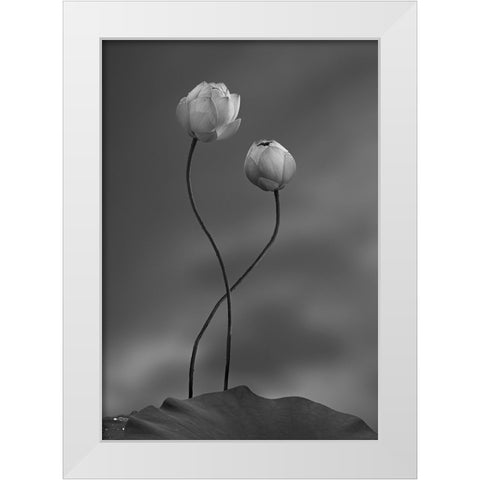 Lotus White Modern Wood Framed Art Print by Wei, Taiga