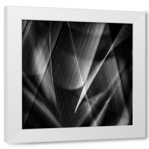 Shadows a edges ab White Modern Wood Framed Art Print by Ciappara Lrps., Simon