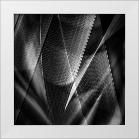 Shadows a edges ab White Modern Wood Framed Art Print by Ciappara Lrps., Simon