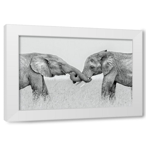 Confrontation White Modern Wood Framed Art Print by Zuo, Jun