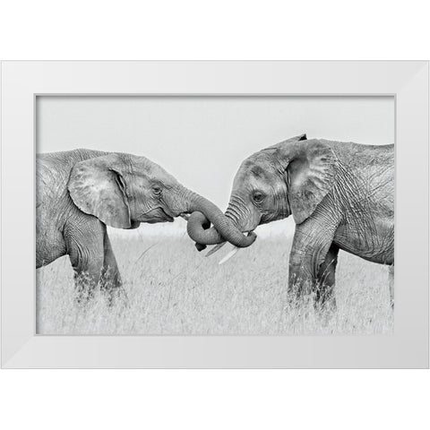 Confrontation White Modern Wood Framed Art Print by Zuo, Jun