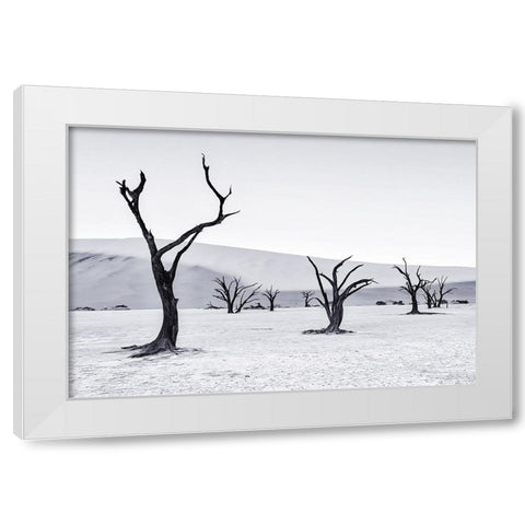 Deadvlei White Modern Wood Framed Art Print by Zheng, Michael