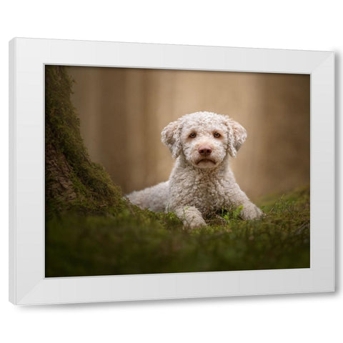 The Guardian of the Forest White Modern Wood Framed Art Print by Kuplenk, Nika