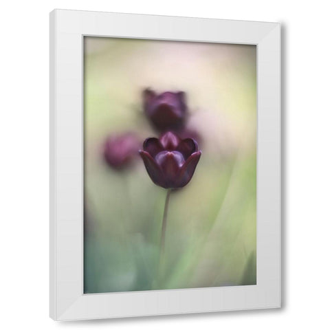 Projectorlens Photo White Modern Wood Framed Art Print by van marwijk, tonnie