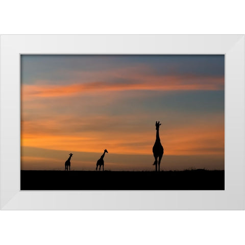 ddidcdsd ddldcdndids dydcdcd d ddcddbdudsd White Modern Wood Framed Art Print by Sobhi, Ahmed