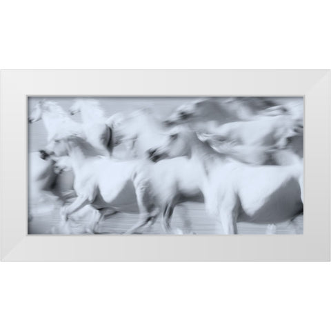 Herd of White Arabian Mares White Modern Wood Framed Art Print by Leinemann, Ulrike
