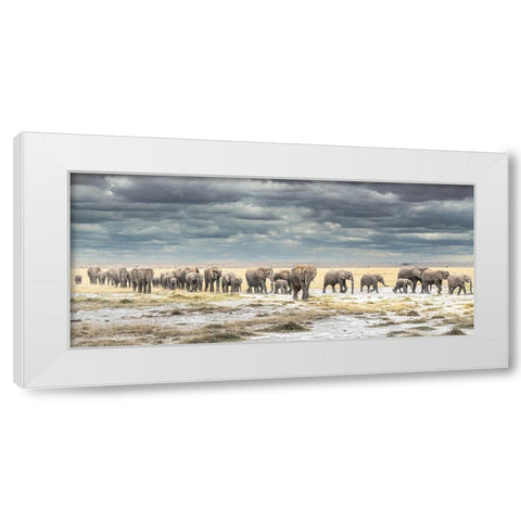The March for Survival White Modern Wood Framed Art Print by C. Sink, Jeffrey