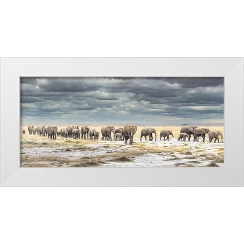 The March for Survival White Modern Wood Framed Art Print by C. Sink, Jeffrey