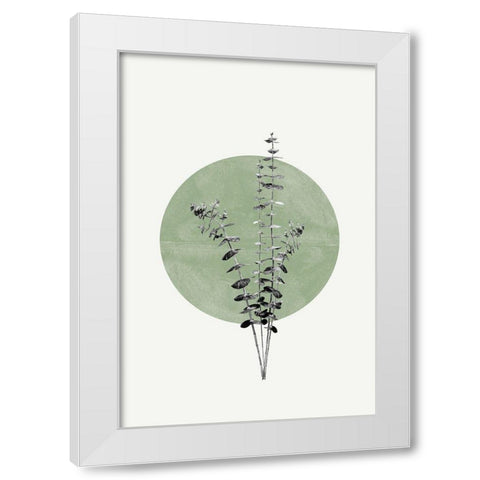 Eucalyptus and Green Moon White Modern Wood Framed Art Print by The Miuus Studio