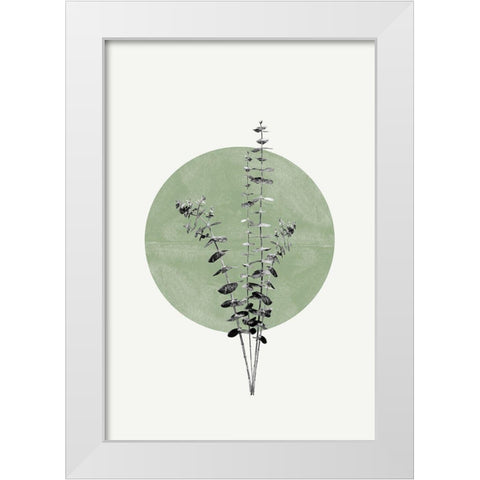 Eucalyptus and Green Moon White Modern Wood Framed Art Print by The Miuus Studio