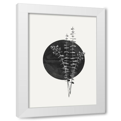 Plant and Black Sun White Modern Wood Framed Art Print by The Miuus Studio