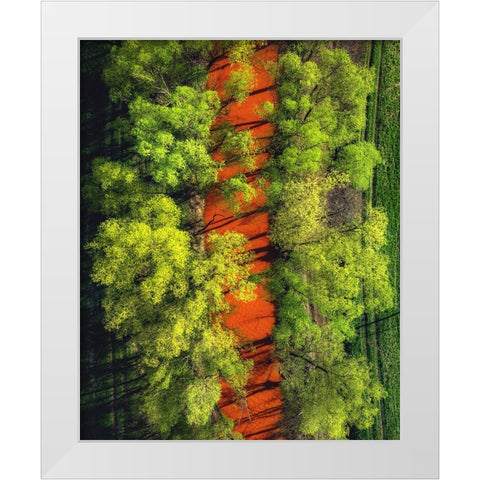 ...Perverted Beauty ... White Modern Wood Framed Art Print by Gerec, Pali