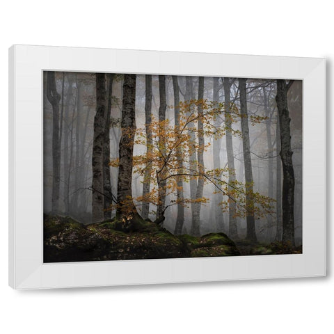 Bosque en la niebla White Modern Wood Framed Art Print by Ruiz Rivas, Ja