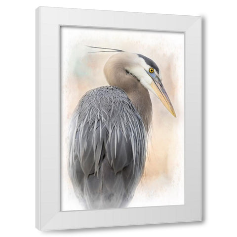 Great Blue Heron Portrait White Modern Wood Framed Art Print by D Lester, Linda