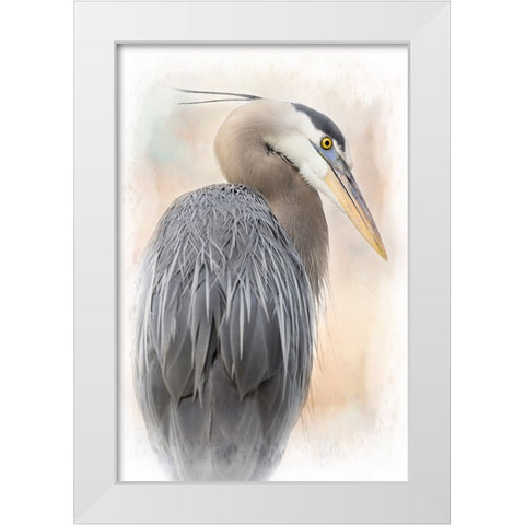 Great Blue Heron Portrait White Modern Wood Framed Art Print by D Lester, Linda