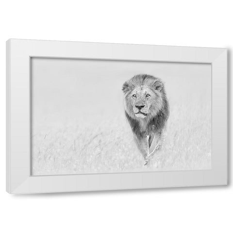 The King of The Prairie White Modern Wood Framed Art Print by Zuo, Jun