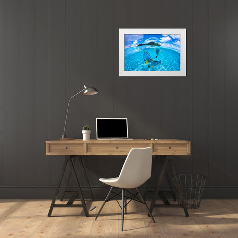 Surgeon Fish Trio White Modern Wood Framed Art Print by Gabriel, Barathieu