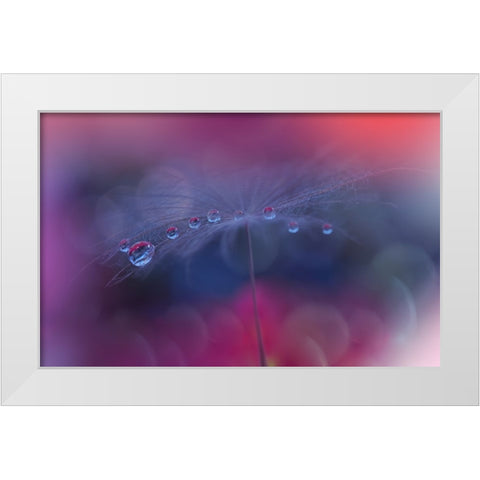 The Tears Of Heaven...III White Modern Wood Framed Art Print by Nan, Juliana