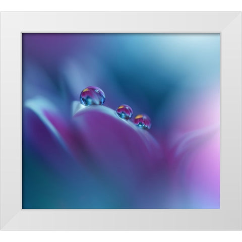 Memories Of Sea..III White Modern Wood Framed Art Print by Nan, Juliana