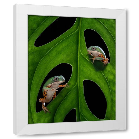 Hang out White Modern Wood Framed Art Print by Tantoyensen