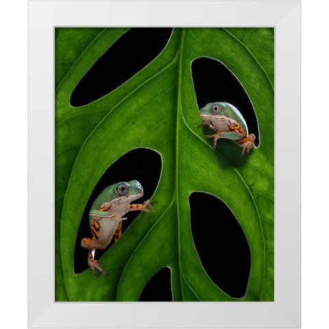 Hang out White Modern Wood Framed Art Print by Tantoyensen