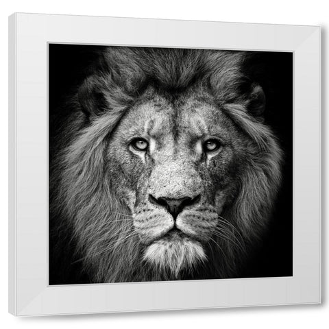 Stare Me Down #3 White Modern Wood Framed Art Print by Meermann, Christian